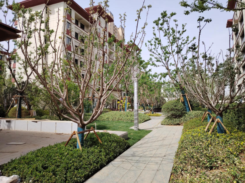實(shí)景圖
