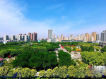 焦作城市建設(shè)將有大動(dòng)作！打造宜居、韌性、智慧、綠色城市!