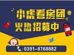 八月焦作房產(chǎn)網(wǎng)小虎免費(fèi)看房團(tuán)開始報名了